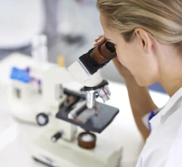 Ile kosztuje badanie testosteronu? Sprawdź ceny w laboratoriach Ile kosztuje badanie testosteronu? Sprawdź ceny w laboratoriach