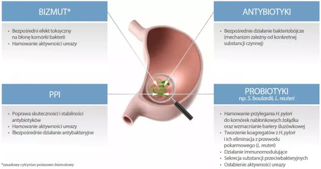 Jak przyjmować leki na helicobacter, aby terapia była skuteczna i bezpieczna Jak przyjmować leki na helicobacter, aby terapia była skuteczna i bezpieczna